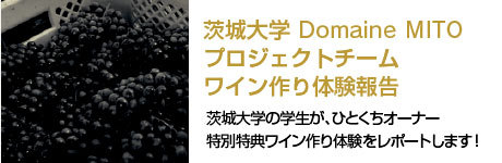 ドメーヌ水戸｜茨城大学
