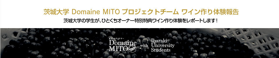 ドメーヌ水戸｜茨城大学