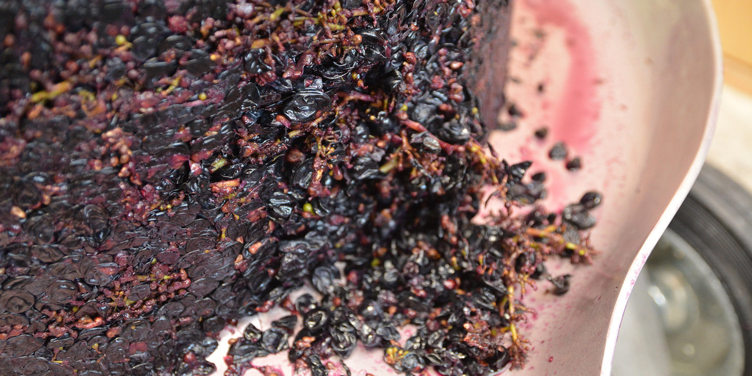 ドメーヌ水戸｜まちなかワイナリー