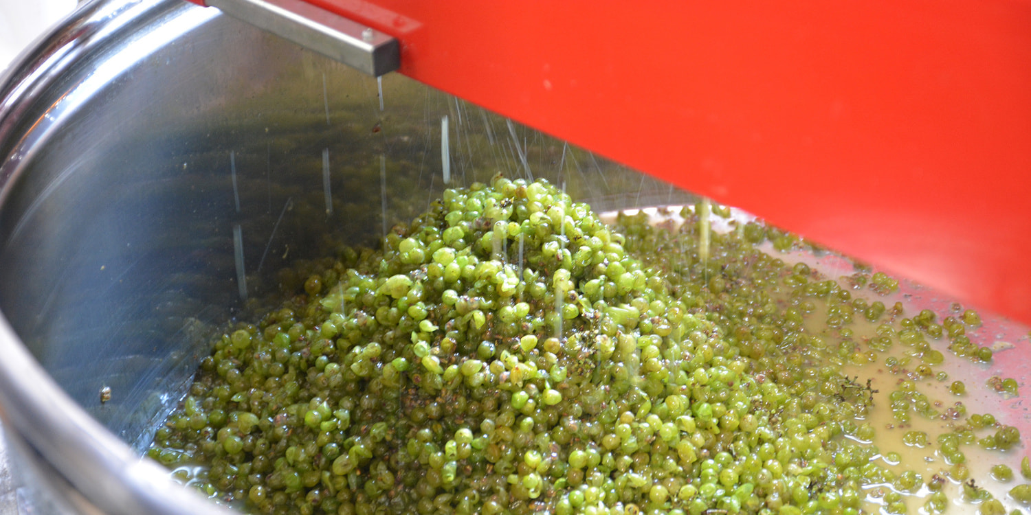 ドメーヌ水戸｜まちなかワイナリー