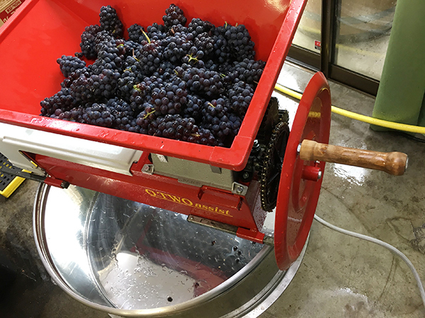 ドメーヌ水戸｜ワイン