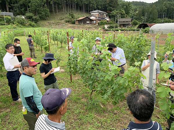 ドメーヌ水戸｜ワイン