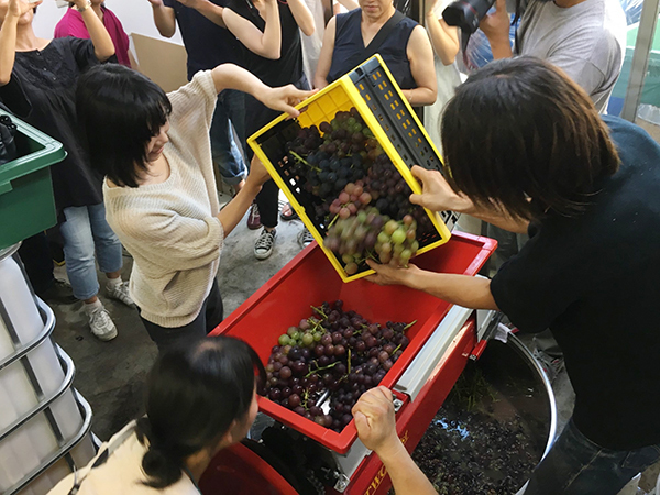 ドメーヌ水戸｜ワイン