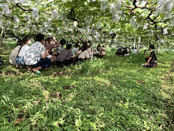 ドメーヌ水戸｜ワイン